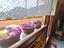 Immagine 26
