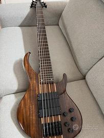 Basso PEAVEY GRIND 6