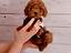 Immagine 12