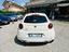 Immagine 6