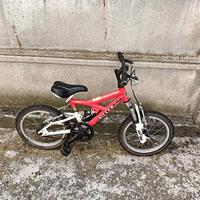 Bici Silver Star 16 pollici (per bambini 4-5 anni)