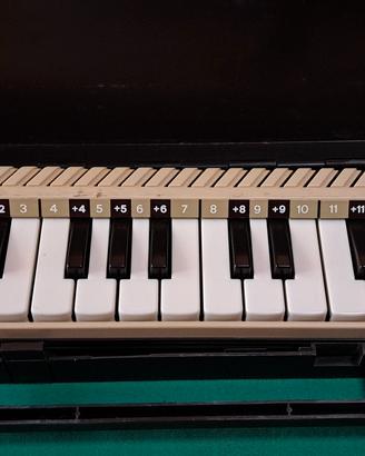 Diamonica Bontempi Vintage 25 tasti - Funzionante