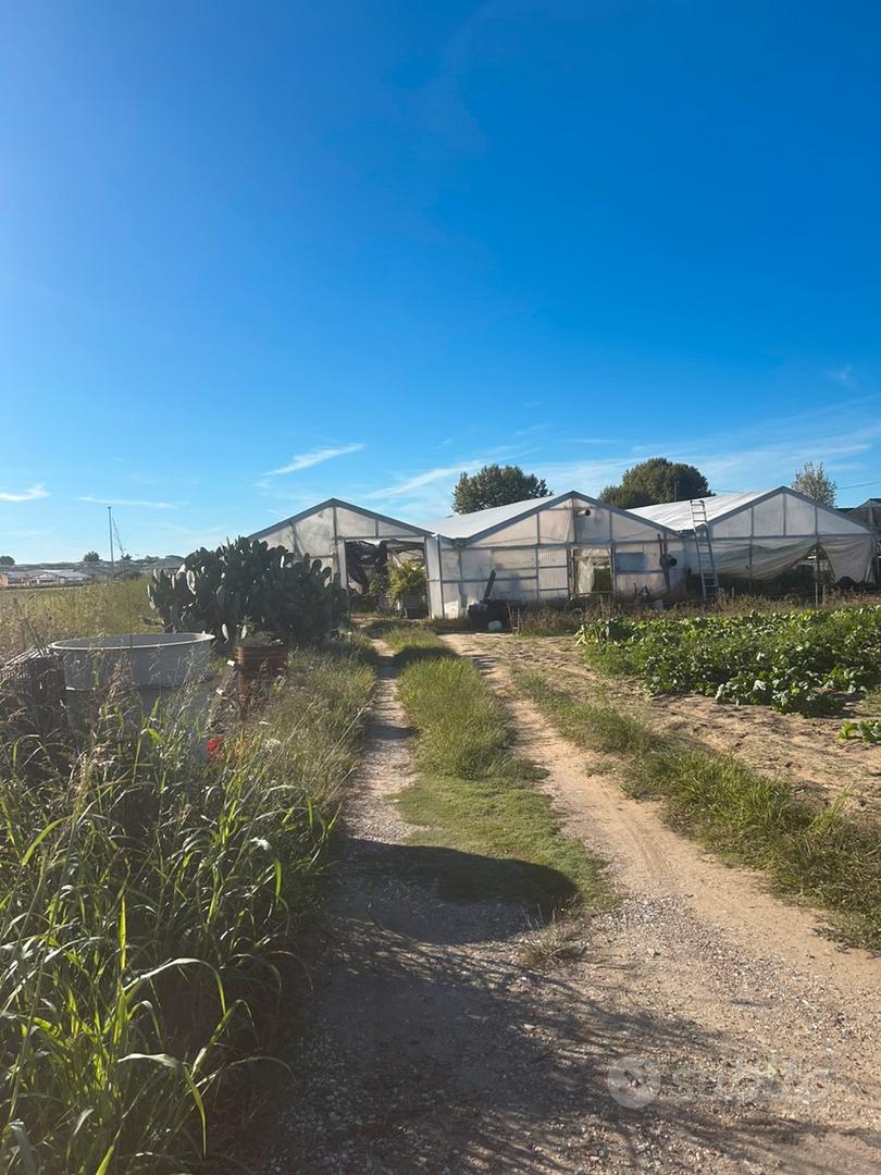 Terreno agricolo - Vista 2