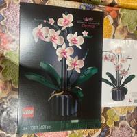 Istruzioni e scatola set lego botanicals 10311
