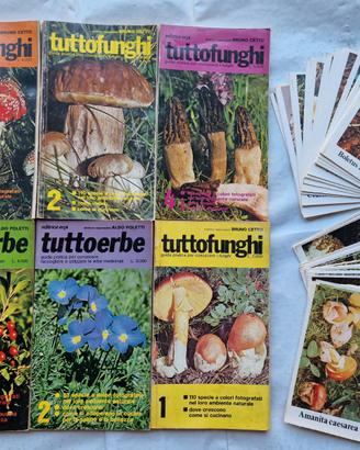 libri conoscere Funghi ed Erbe