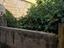 Immagine 19