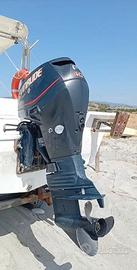 ricambi evinrude e-tec 40 cv 