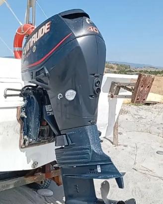 ricambi evinrude e-tec 40 cv 