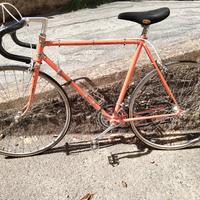 Bicicletta Torpado Eroica Vintage 