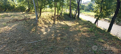 Terreno agricolo