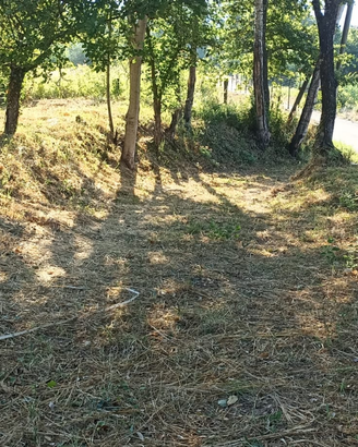 Terreno agricolo