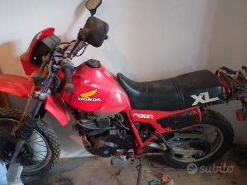 Honda XL 600 *radiata*