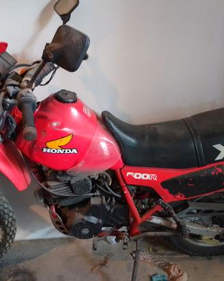 Honda XL 600 *radiata*