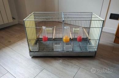 Gabbia uccelli
