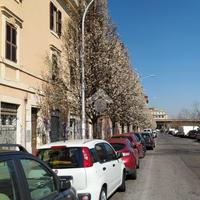 MONOLOCALE A ROMA