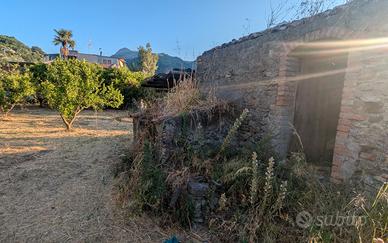 Vendisi Terreno agricolo