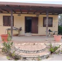 Terreno Agricolo Petrosino [A4338439]