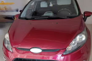 Ford Fiesta Gpl 2010