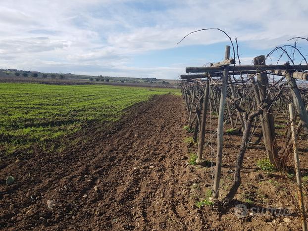 Terreno agricolo di 7000mq-M09