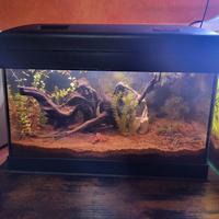 Acquario 30 litri
