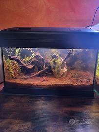Acquario 30 litri