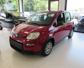 FIAT Panda 1.0 FireFly 70cv Hybrid KM.ZERO - Ros