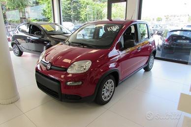 FIAT Panda 1.0 FireFly 70cv Hybrid KM.ZERO - Ros