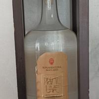 Grappa Prime Uve 5 Litri Anni 2000