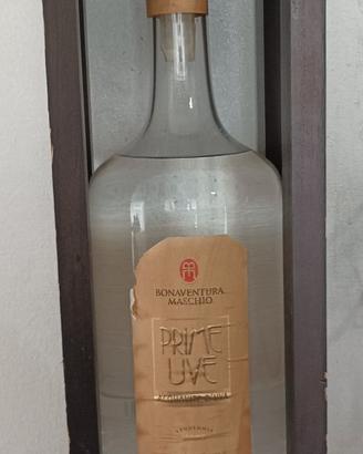 Grappa Prime Uve 5 Litri Anni 2000