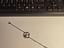 Immagine 2
