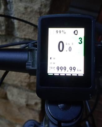 bici elettrica torpado