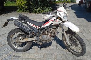 Moto enduro Beta Alp 200 2015 motore Suzuki