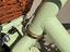 Immagine 4