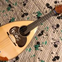 Mandolino napoletano Calace mod. 26
