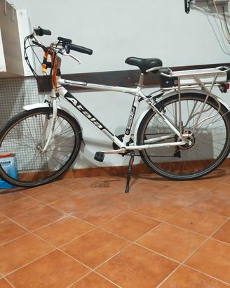 Atala elettrica 