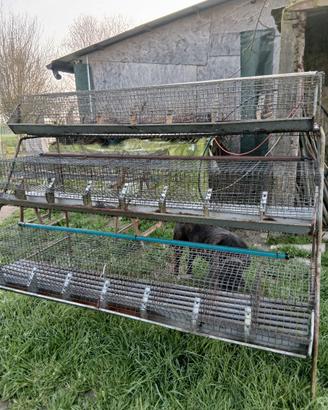 Gabbia di ingrasso per conigli 