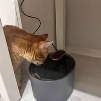 Distributore automatico di acqua + 6 filtri