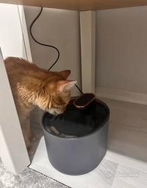 Distributore automatico di acqua + 6 filtri