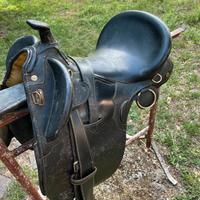 Selle e finimenti
