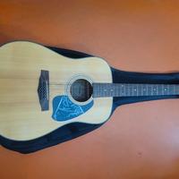 CHITARRA ACUSTICA 12 CORDE IBANEZ PIU CUSTODIA 