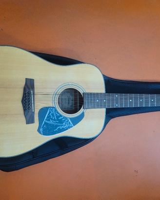 CHITARRA ACUSTICA 12 CORDE IBANEZ PIU CUSTODIA 