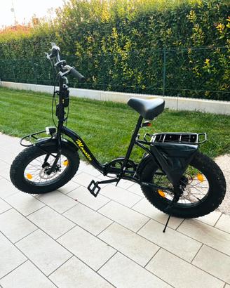 Bici pieghevole fat bike