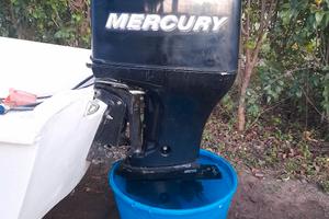 ricambi Mercury 80 cv 4tempi efi