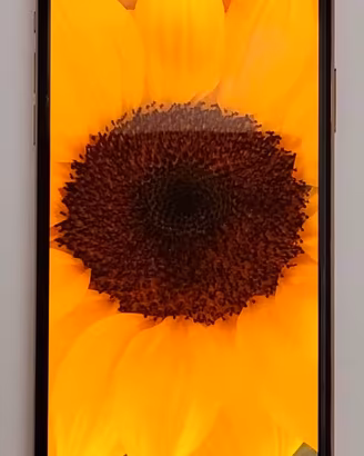 iPhone 11 Pro Max 64 gb