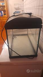 acquario 60 litri