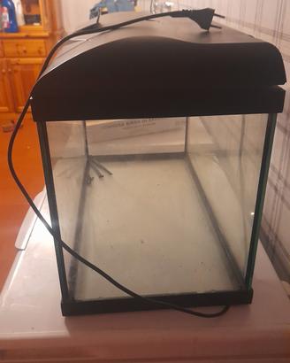 acquario 60 litri