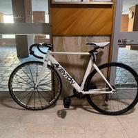 Bici Fixed Aventon Mataro tg 54