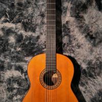 Chitarra Yamaha GC6D 