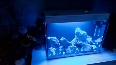Acquario Askoll 130 litri + pompa