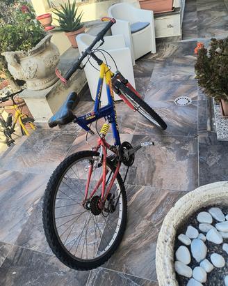Bici una x ragazzo n.26 altra x bambino 